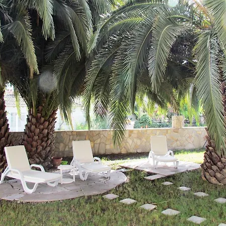Hotell Palmiye
