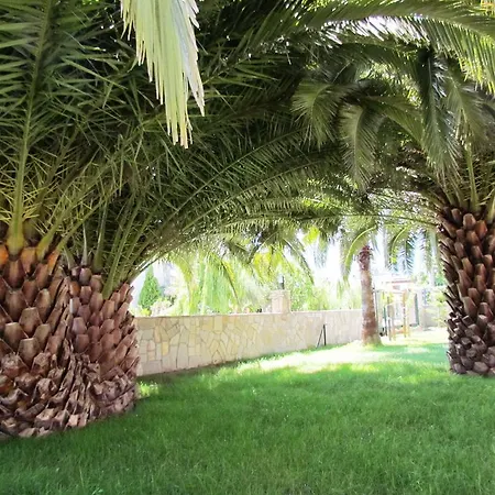 Palmiye Hotel