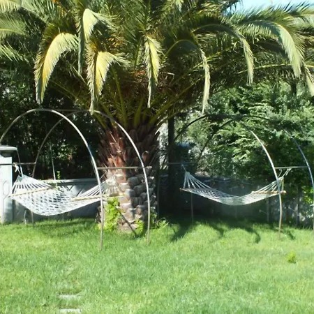 Palmiye Hotel 3*
