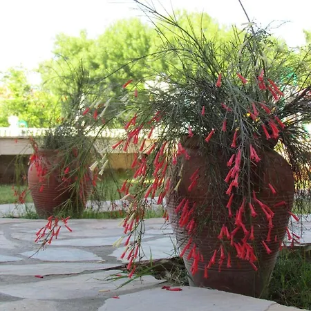 Palmiye Hotel