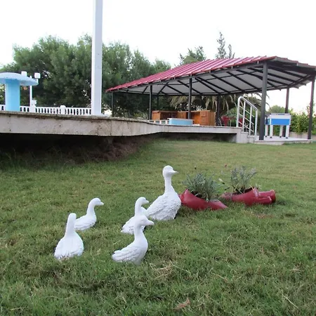 Hotel Palmiye