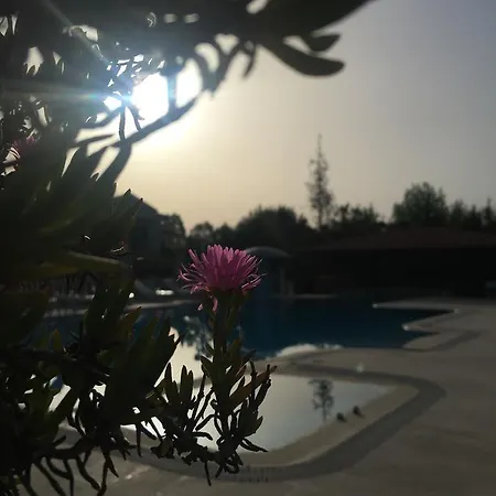 Palmiye 3* Dalyan